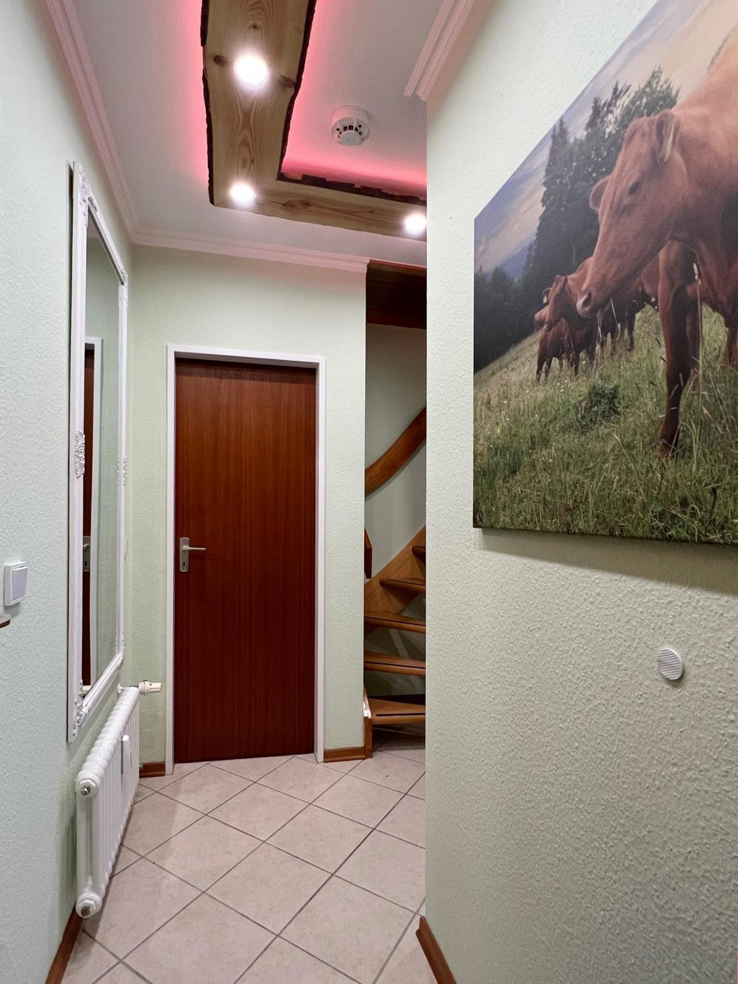 Stella Apartment Sankt Andreasberg Ngoại thất bức ảnh